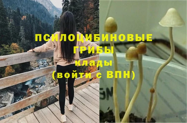 дживик Балабаново