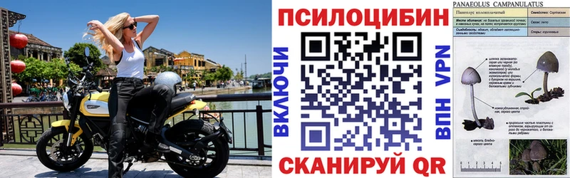 Галлюциногенные грибы ЛСД  Давлеканово 